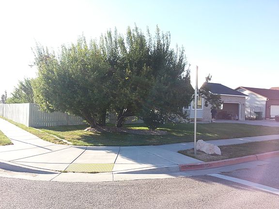 Extra Large Corner Lot