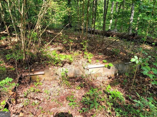 241 Lake Harbor Trl, Martin, GA 30557