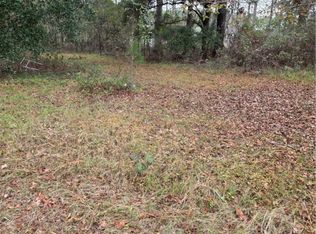 861 Brinson Road, Brooklet, GA 30415