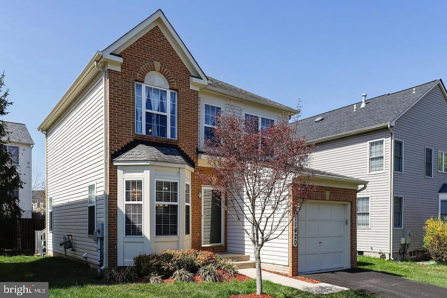 3 bed, 2.5 bath, 1262 sqft, $2,900 — Photo 3