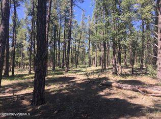 22958 Fox Rnch, Munds Park, AZ 86017