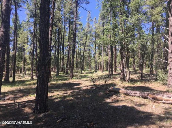 22958 Fox Ranch Road, Munds Park, AZ 86017