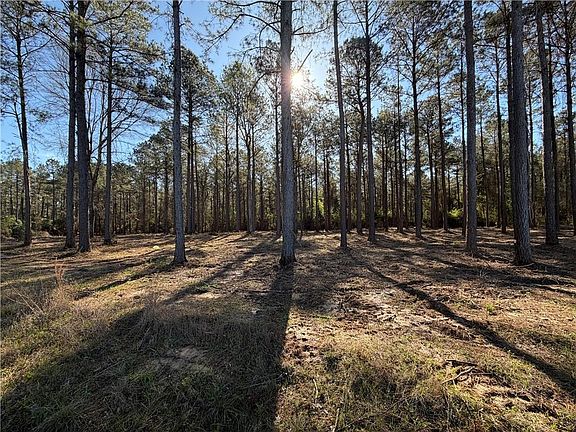 2nd image of Tatoo Rd