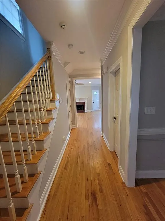 3 bed, 2.5 bath, 1478 sqft, $2,995 — Photo 4