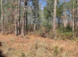TBD Florence Ln., Kingstree, SC 29556