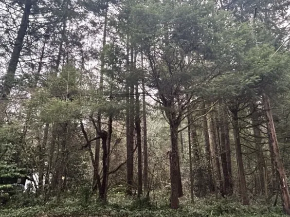 0 Interlaaken Drive SW, Lakewood, WA 98498