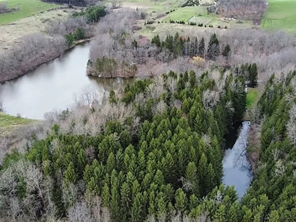 9381 McAllister Rd, Lisbon, OH 44432