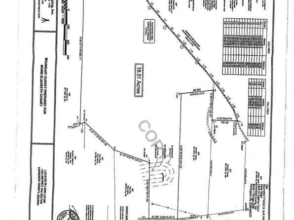 919 Dry Pond Ln, Canton, GA 30114