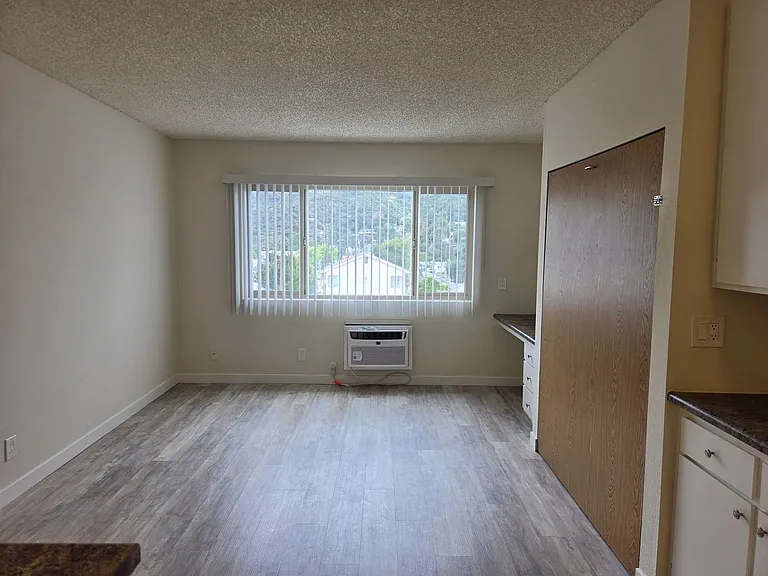10075 Tujunga Canyon Blvd — Photo 3