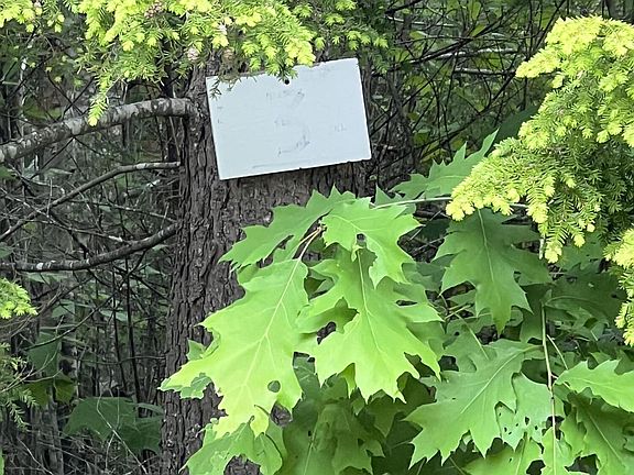 4th image of 50 Hill Farm Lane