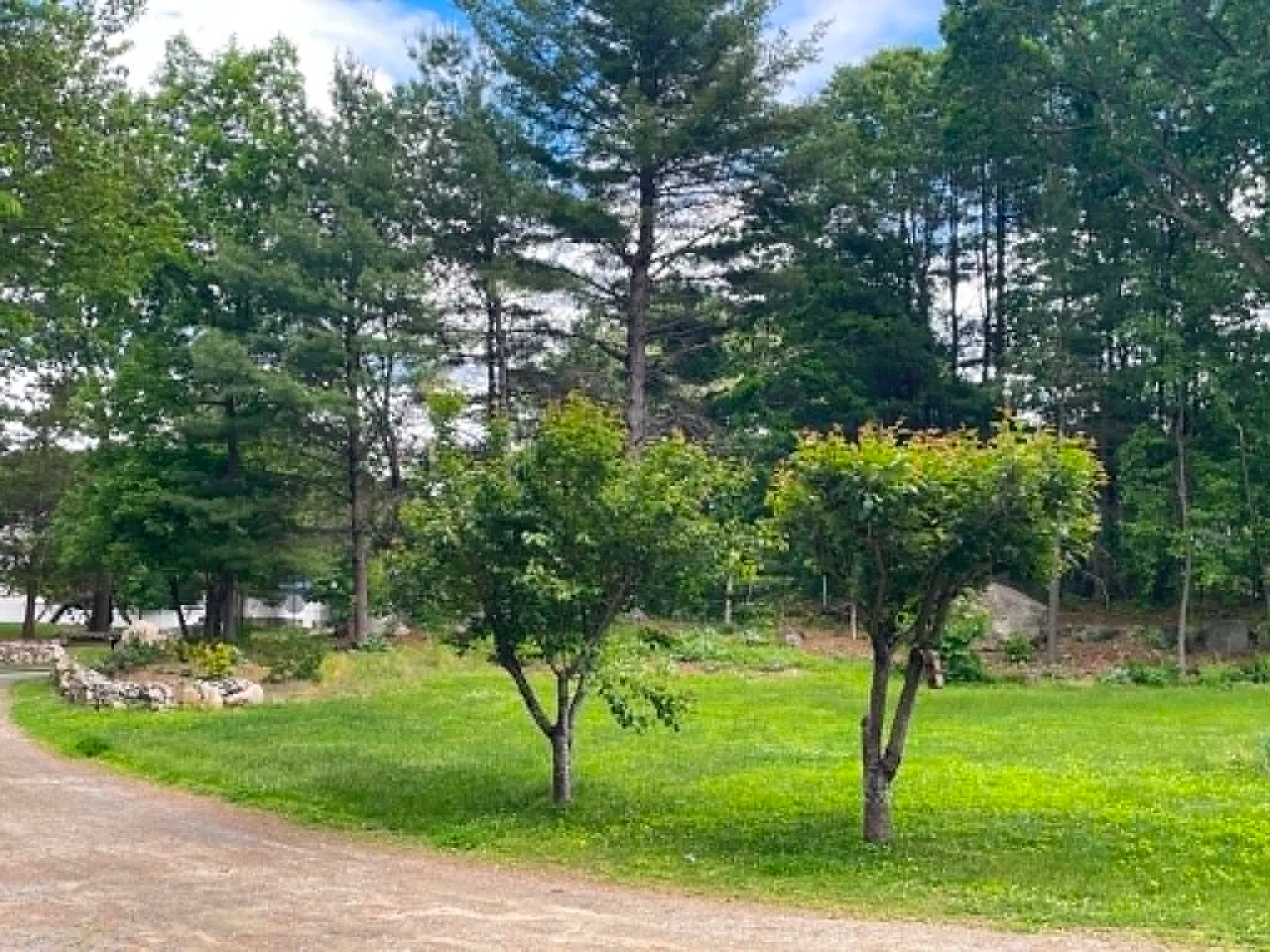 4 bed, 2.5 bath, 1944 sqft, $3,500 — Photo 4