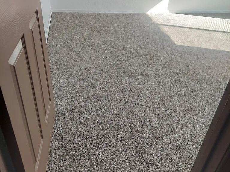Back bedroom