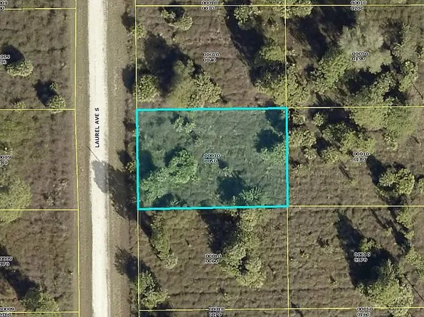 313 Laurel Ave S, Lehigh Acres, FL 33974