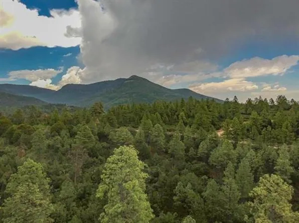 0 Johnnys Dr, Timberon, NM 88350