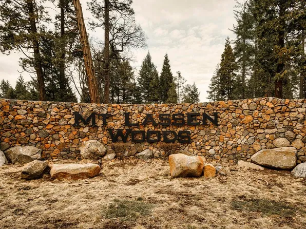 21 Brooms Edge Pl, Shingletown, CA 96088