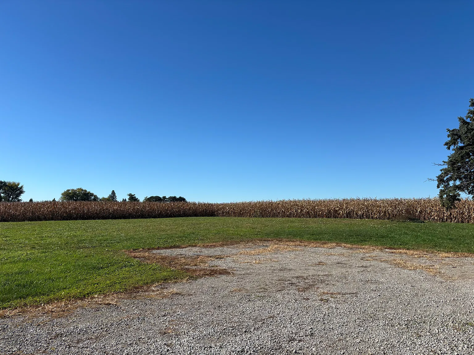 2 bed, 1232 sqft, $1,800 — Photo 3