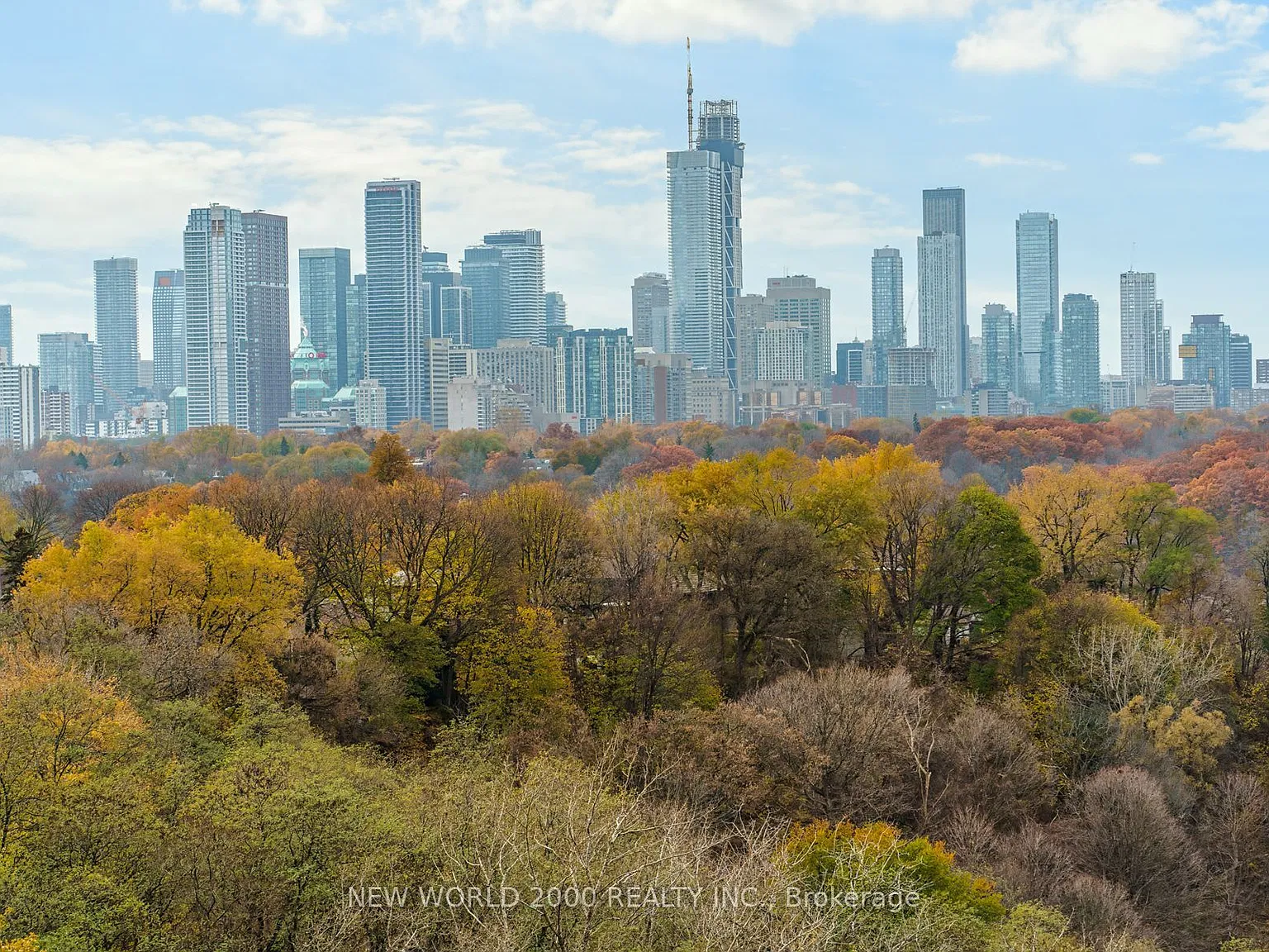 1 bed, $1,800 — Photo 1
