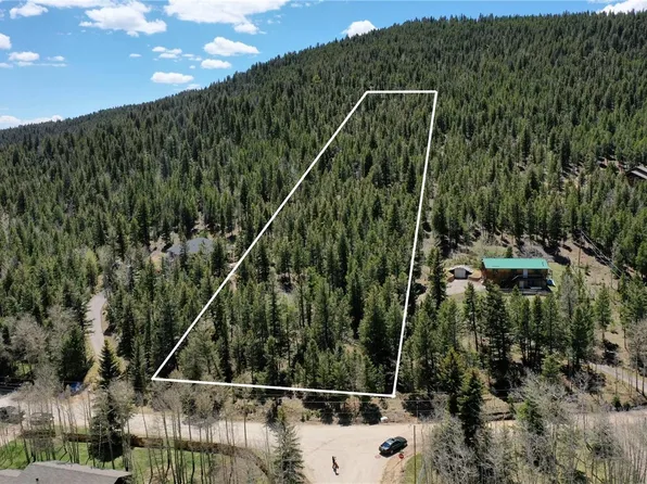 1008 S Pine Drive, Bailey, CO 80421