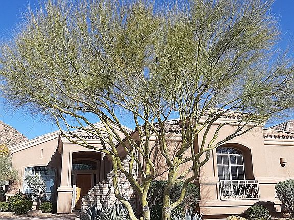 2nd image of 11530 E Desert Willow Dr