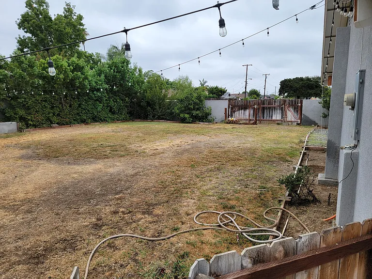 back yard