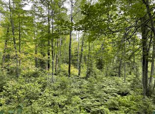 Old Cemetary Rd, Tower, MN 55790