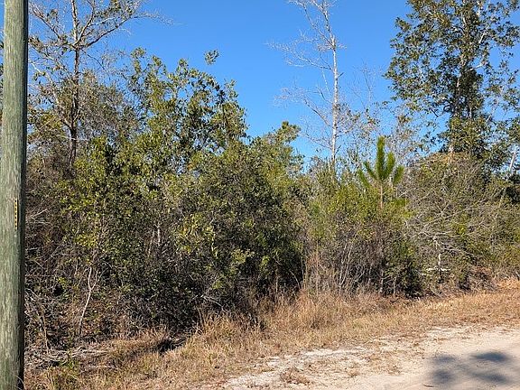 2nd image of 846-5B Hickory Hammock Rd