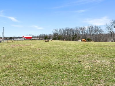 92 Pogue Drive #Tract 1, Fordland, MO, 65652