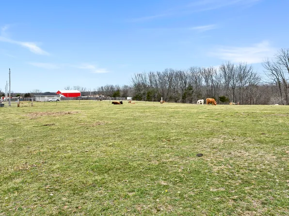 92 Pogue Drive #Tract 1, Fordland, MO 65652