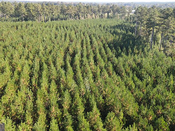 4th image of 0 Kilpatrick Rd Tract 2D