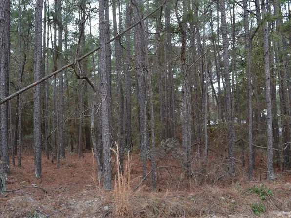 1909 Whitting Green Ln, Lugoff, SC 29078