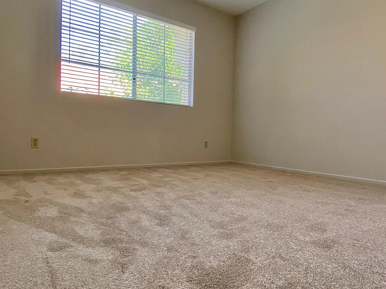 25538 Azalea — Photo 11