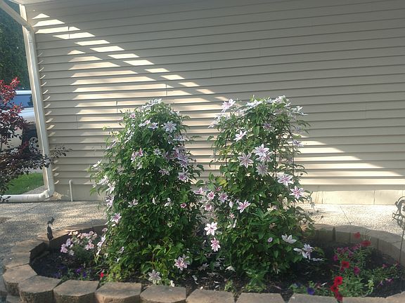 Flowerbed built into stone walkway