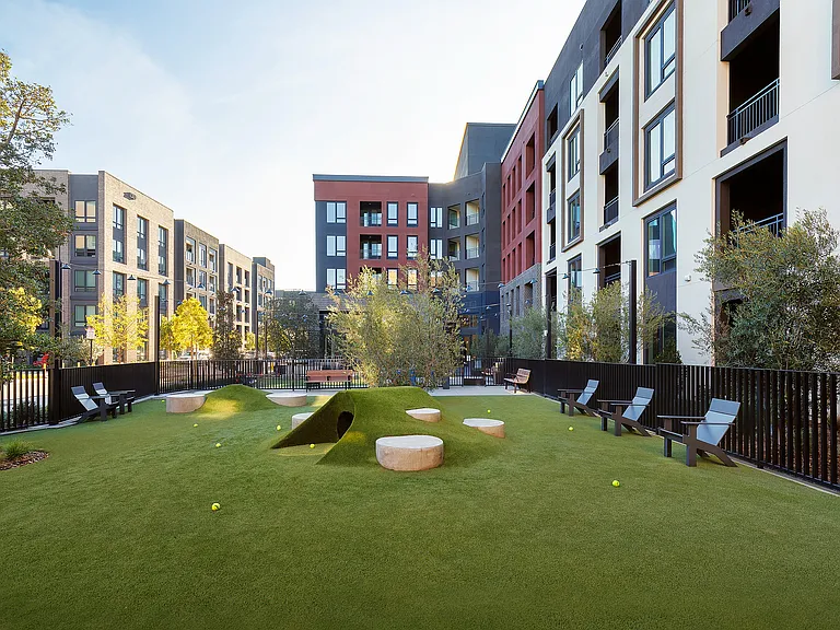 Central Bark Dog Park
