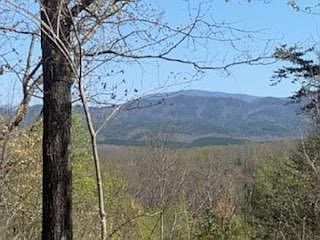 3rd image of 0 Gage Ln Lot 2-149