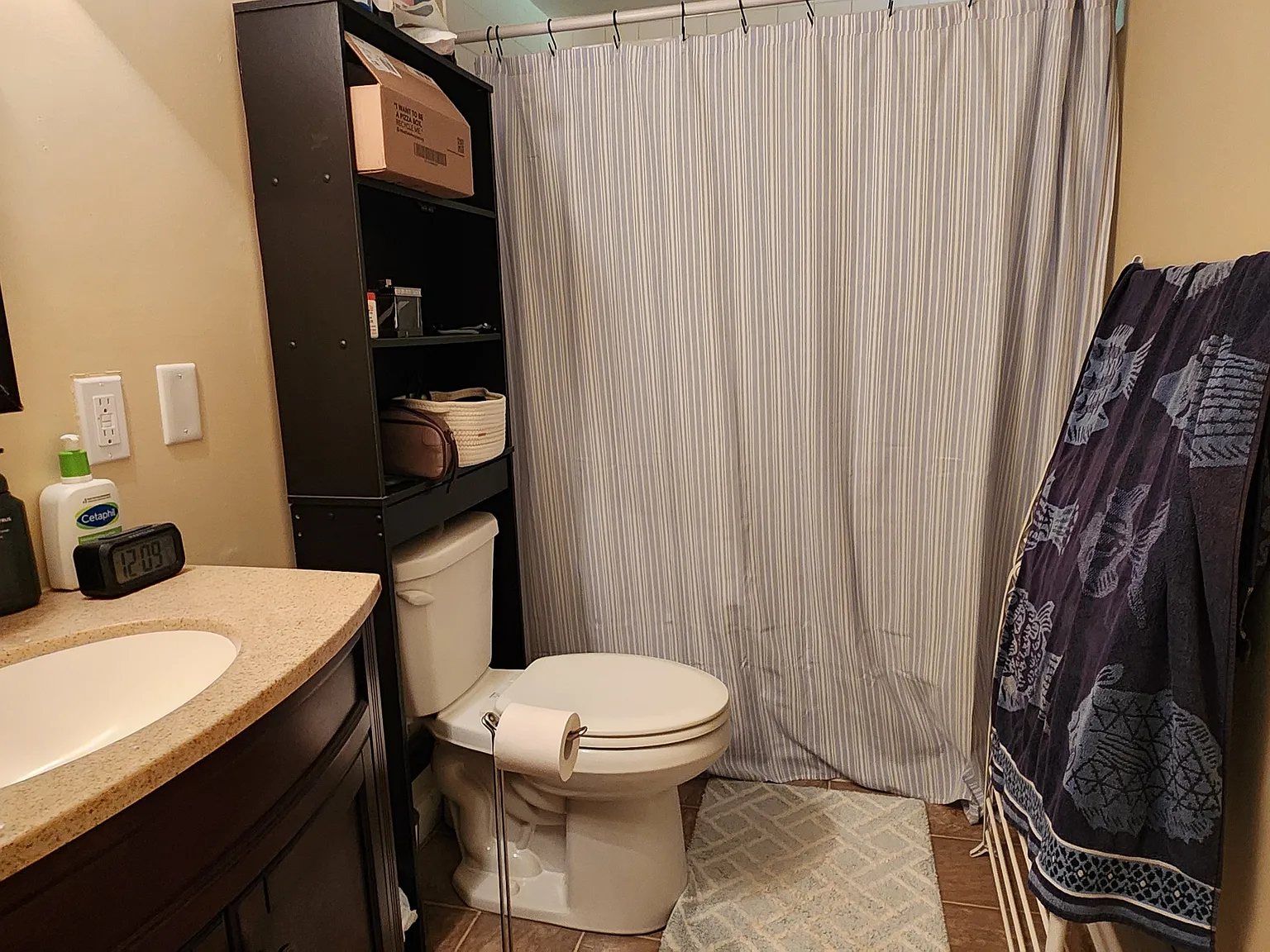1 bed, 800 sqft, $1,300 — Photo 3