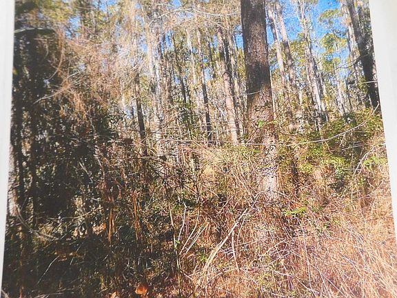 4th image of Transmitter Rd