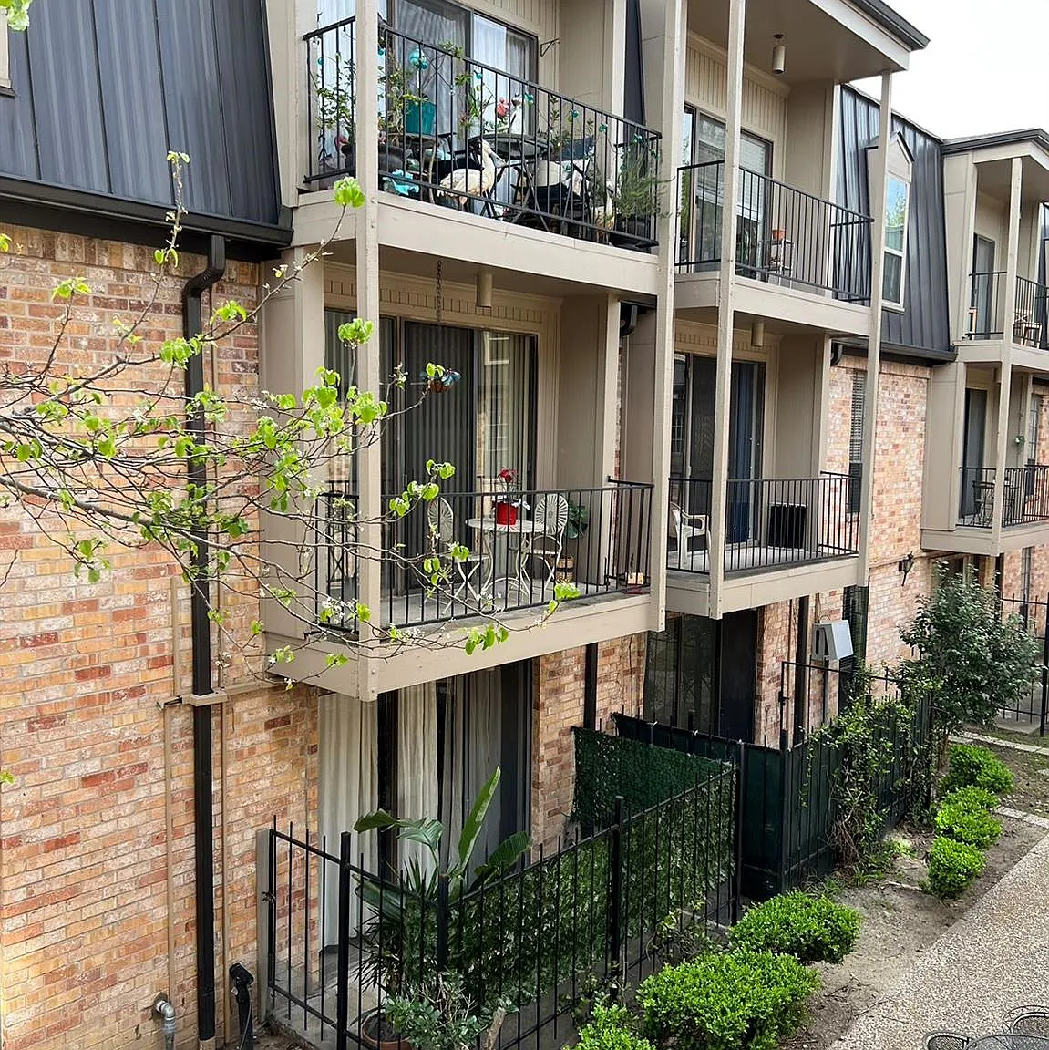 1 bed, 1.0 bath, 748 sqft, $1,250 — Photo 3