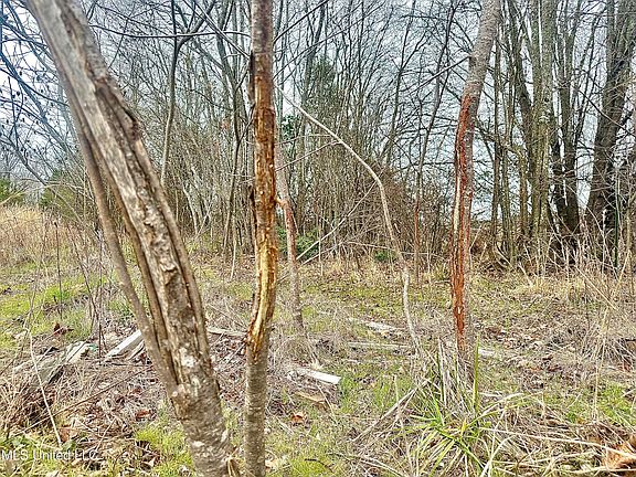 5th image of 6525 Ebenezer Pickens Rd