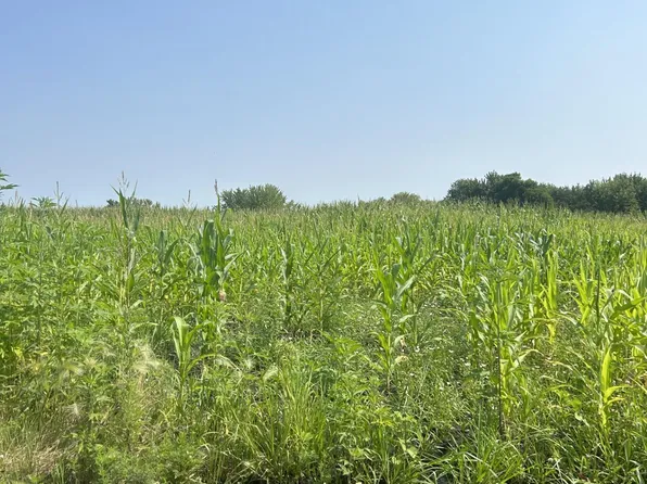 X 330th St, Northfield, MN 55057