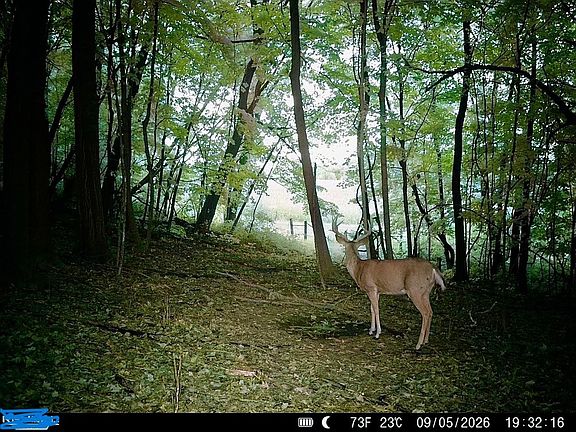 2nd image of 43167 Guthrie Rd