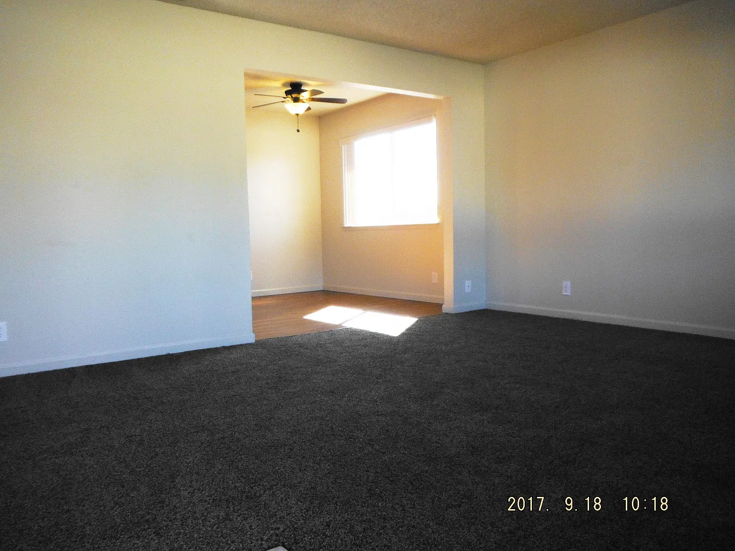 HARR79 — Photo 2