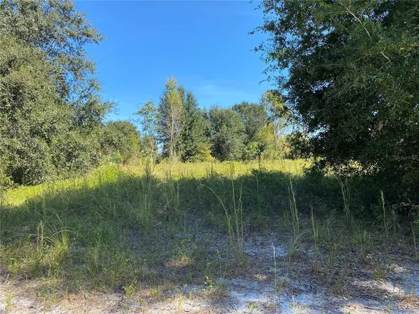 NE 3rd Ct, Citra, FL 32113