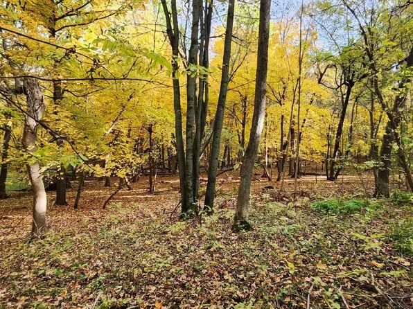 Highway 52 Blvd, Cannon Falls, MN 55009