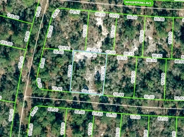 350 Paradise Ave, Lake Placid, FL 33852