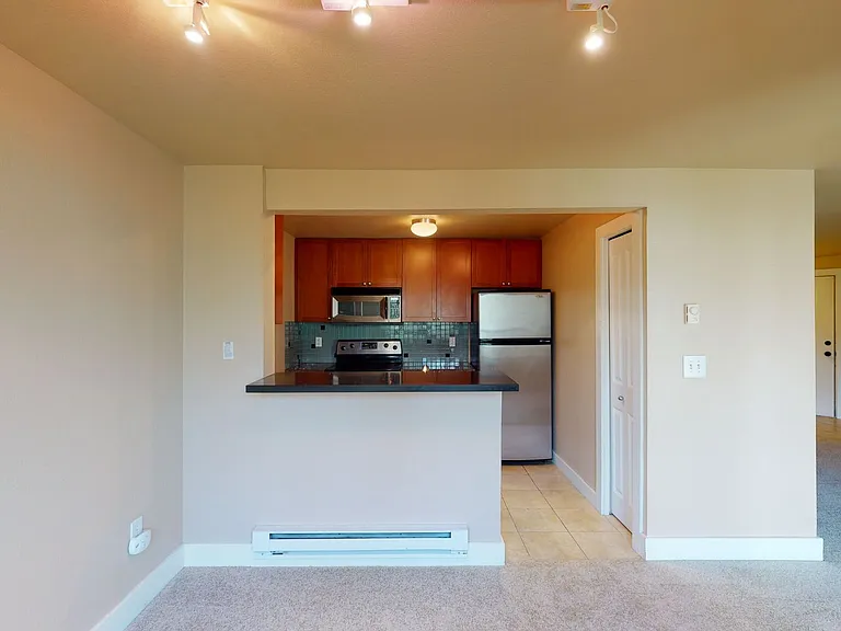3008 N Narrows Dr #A202 — Photo 11