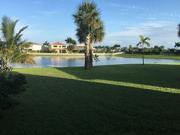 Backyard evening view