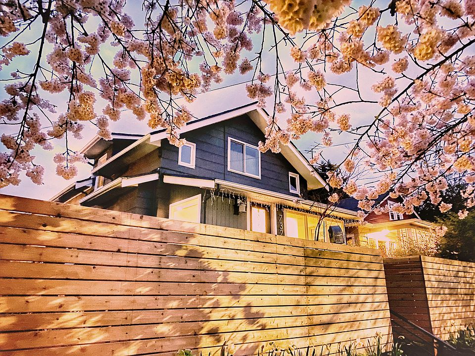 Front facade at dusk, cherry blossom in bloom