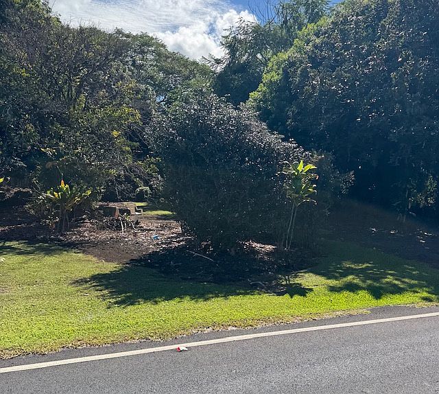 2nd image of 2501 Kilauea Ave