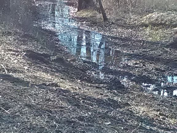 5th image of 0 Eagleville Pike
