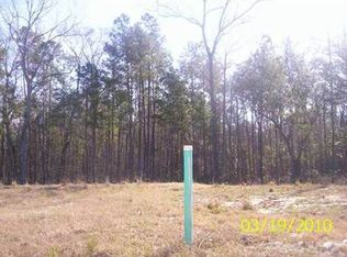 113 Wiregrass Way, Savannah, GA 31419